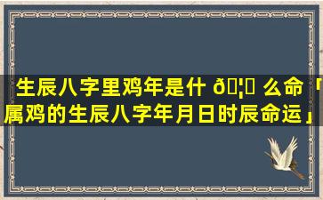 生辰八字里鸡年是什 🦟 么命「属鸡的生辰八字年月日时辰命运」